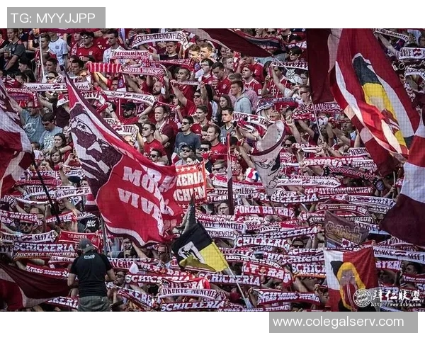 拜仁球迷呼吁理解关闭南看台的决定烟火虽扰但情感依旧坚定