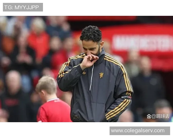 费迪南德称赞拉门斯在对桑德兰的表现增强全队信心展现稳健风范 费迪南德称赞拉门斯在对桑德兰的表现增强全队信心展现稳健风范